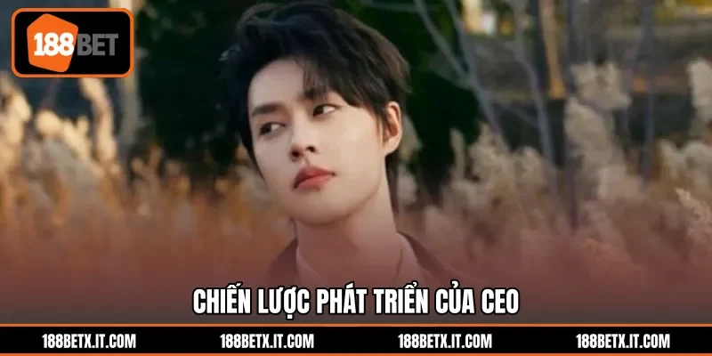 Chiến lược phát triển của CEO