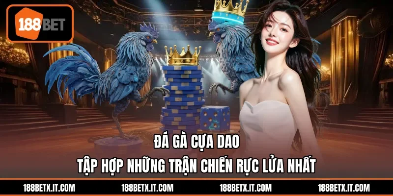 Đá Gà Cựa Dao - Tập Hợp Những Trận Chiến Rực Lửa Nhất