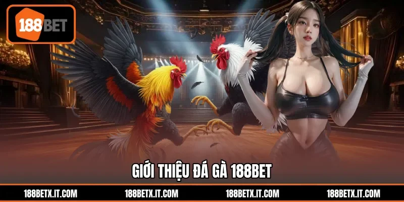 Giới thiệu đá gà 188BET