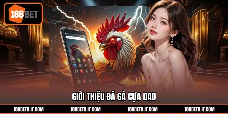 Giới thiệu đá gà cựa dao