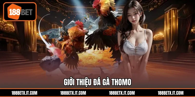 Giới thiệu đá gà Thomo