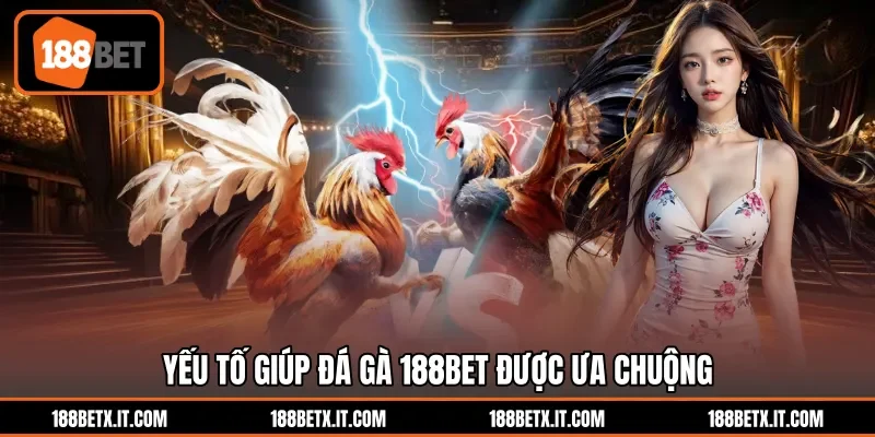 Yếu tố giúp đá gà 188BET được ưa chuộng
